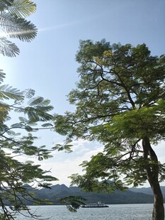 湖畔绿树蓝天美景