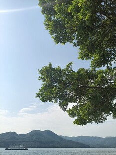 湖畔绿树与远山景致