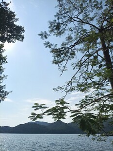 湖畔绿树映蓝天