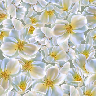白色花卉图案背景纹理