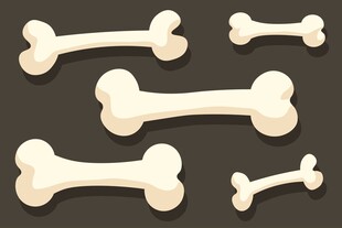 卡通骨头素材