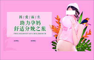 助力孕妈营养