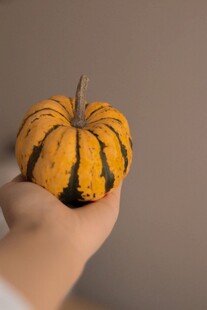 手捧小南瓜