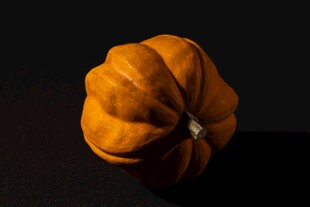 橙色南瓜静物特写