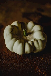 白南瓜静物特写