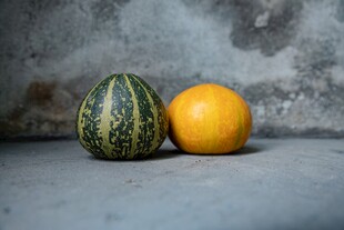 黄绿双色瓜静物展示