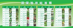 蔬菜验收标准图