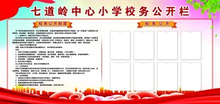 中心小学政务公开栏