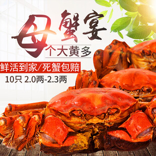 大闸蟹 蟹宴