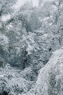 雪覆山林美景