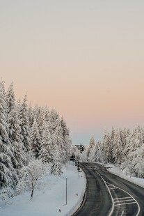 冬日雪覆公路与松林美景