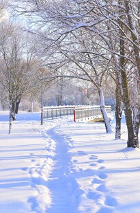 冬日雪后公园小径