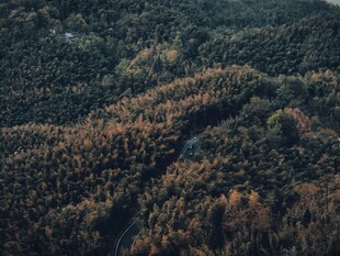 秋日山林俯瞰美景