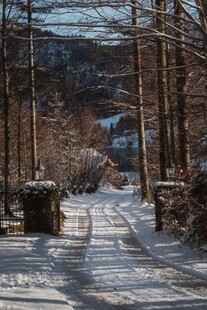 冬日雪覆林间小道