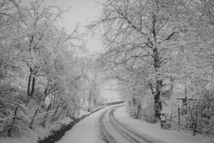 冬日雪覆林间蜿蜒小路