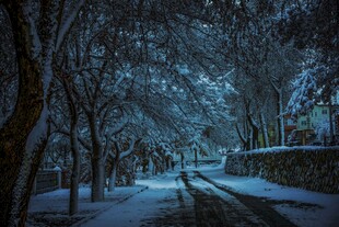 雪夜林间小道静谧美景