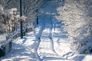 冬日雪覆林间小路