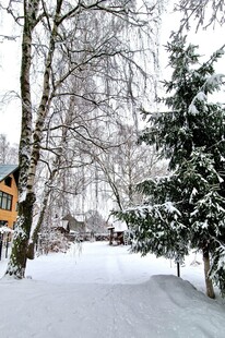 冬日雪景中的静谧林间小屋
