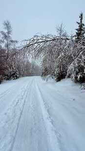 冬日雪路银装素裹的美景