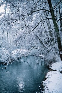 冬日雪覆溪流静谧美景
