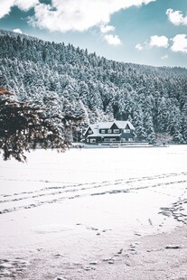冬日雪景中的静谧山林