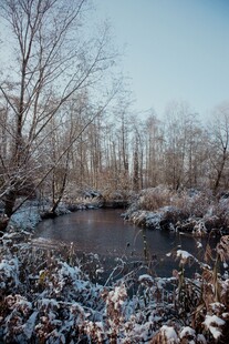 冬日溪边雪景