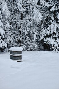 雪覆庭院中的古朴蜂箱