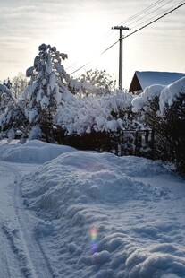 冬日雪景中的宁静乡村小道
