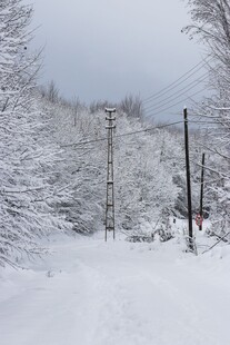 冬日雪覆小路静谧雪景