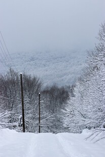 冬日雪景中的静谧乡村小道