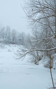 冬日雪覆河岸静谧景象