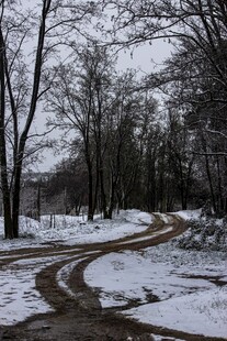 雪后林间交错的泥泞车辙