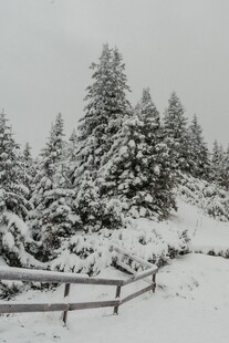 雪覆山林的冬日静谧景致