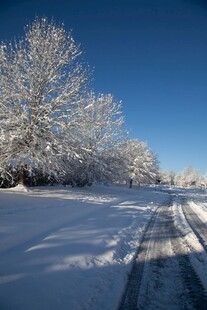 冬日雪覆道路的美丽景象