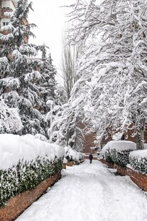 雪覆园林小径景致如画