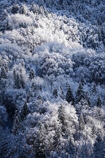 雪覆山林美景
