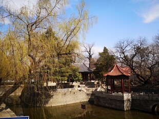 山东戴庄荩园风景摄影