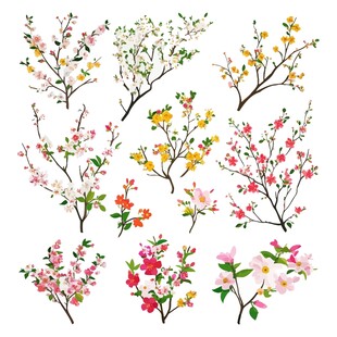 花卉花枝素材