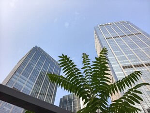 现代摩天大楼外观