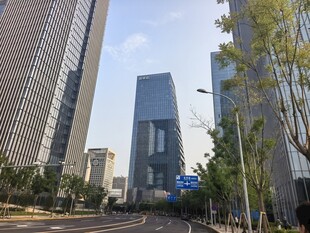 城市街道旁的现代高楼景观
