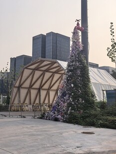 户外特色建筑旁的圣诞树