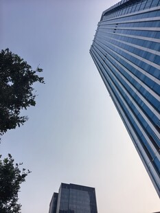 仰视都市摩天大楼与绿树