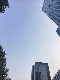 仰视都市摩天大楼与绿树