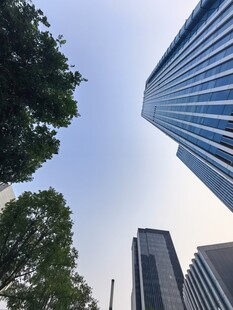仰视都市摩天大楼与绿树