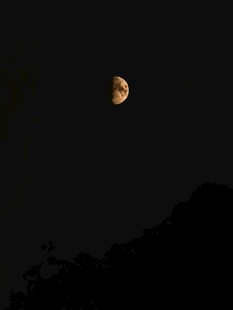 夜空下的月