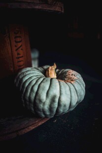 灰绿色南瓜静物特写