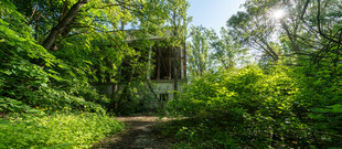 林间幽径中的古朴小屋