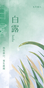 白露时节芦苇美景