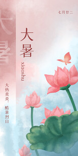 大暑时节绽放的美丽荷花