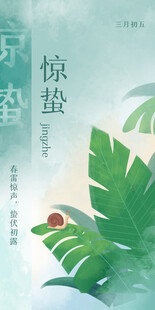 清新绿植间的一抹红